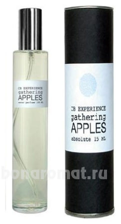 Gathering Apples #307