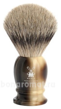  ,   Classic (    Silvertip)