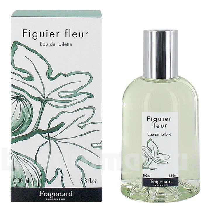 Figuier Fleur