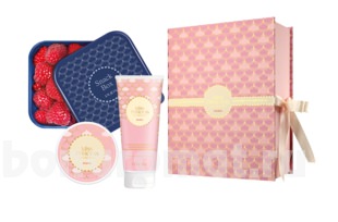    Miss Princess Medium 2 (    100 -)