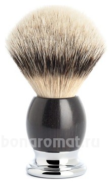     Classic Sophist  L (    Silvertip)