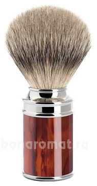  C   Traditional (    Silvertip)