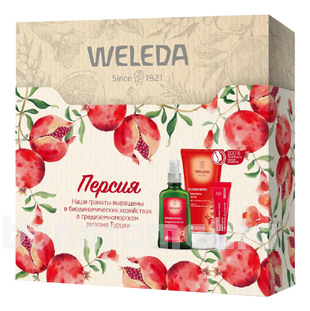   (  /   / 100   / 10)