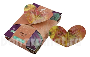       Compliment  (    No113 2 +    No115 1 +   No103 1 +   No105 1