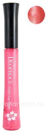    Premium Color Lip Gloss