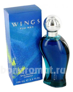 Wings For Men