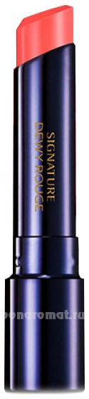   Signature Dewy Rouge 3,4