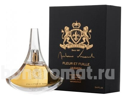 Fleur De Feuille De Jasmin