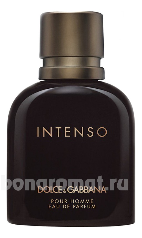 Dolce Gabbana (D&G) Pour Homme Intenso