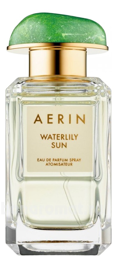 Waterlily Sun