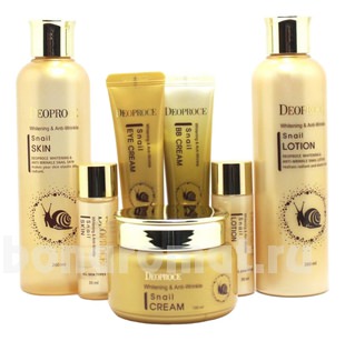    Whitening & Anti-Wrinkle Snail 5 (  260/30  260/30  /   40 BB  SPF50 PA 40)