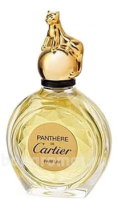 Panthere 