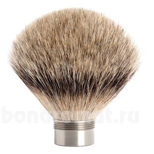     Edition (    Silvertip)