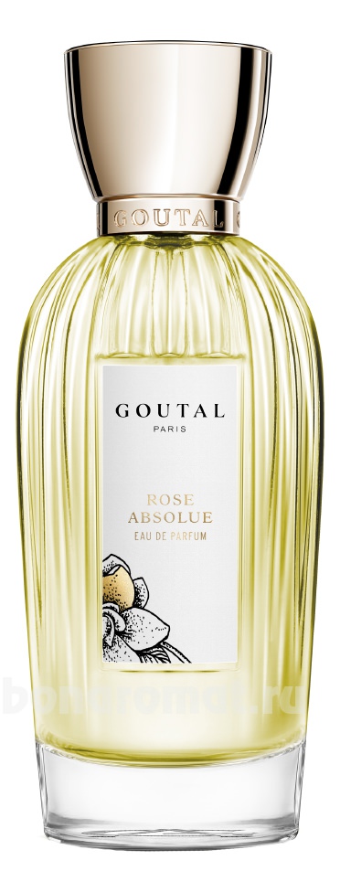 Rose Absolue