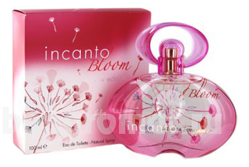 Incanto Bloom New Edition