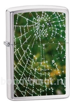   Web Brushed Chrome (, )