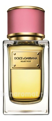 Dolce Gabbana (D&G) Velvet Rose