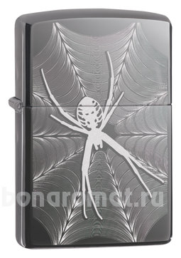  Classic Spider & Web Design 29733 (, )