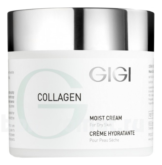     Collagen Elastin Moisture Cream