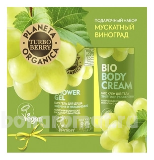       Turbo Berry (  /   / 200   / 30)