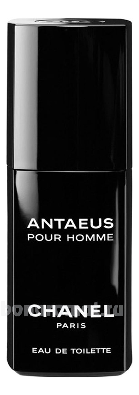 Antaeus 