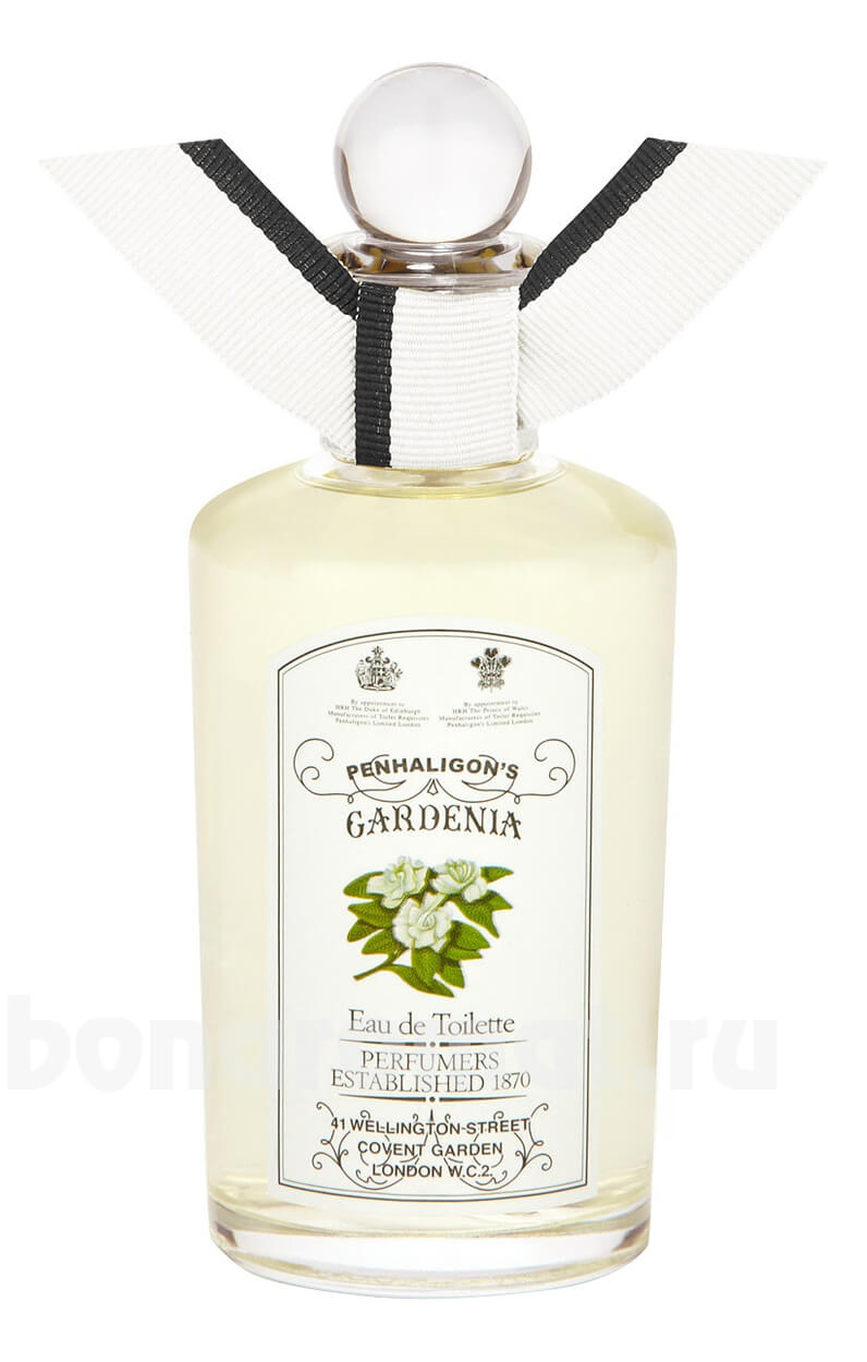 Gardenia