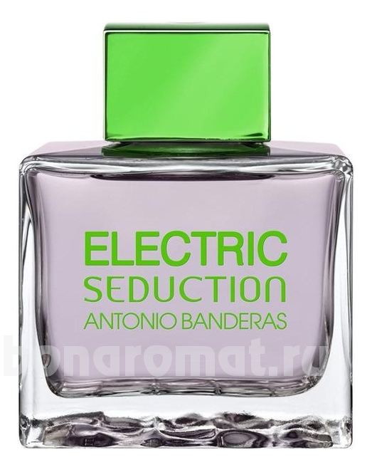 Electric Seduction In Black Men