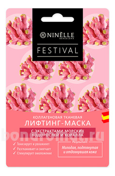   -       Festival
