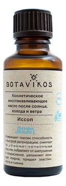       ,     Hyssopus Officinalis L