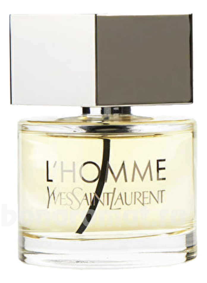 YSL La Nuit De L'Homme