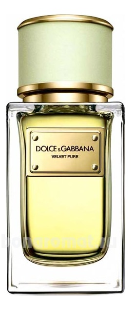 Dolce Gabbana (D&G) Velvet Pure