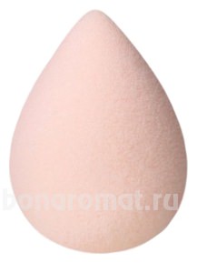    Blender Makeup Sponge