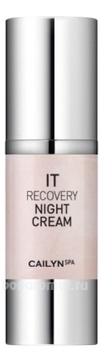          It Moisturising Night Cream