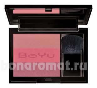     Multi Color Powder Blush 7,5