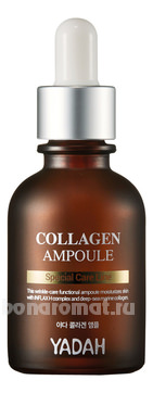        Collagen Ampoule Special Care Line