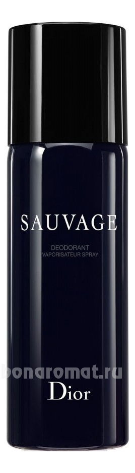 Sauvage 2015