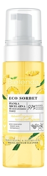          Eco Sorbet Pineapple Moisturizing & Illuminating Micellar Foam Cleanser
