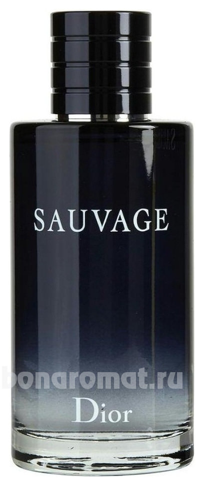 Sauvage 2015