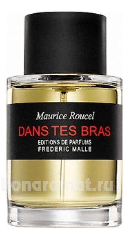 Dans Tes Bras
