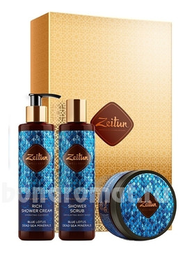    SPA-      Wellness (   +   +  200)