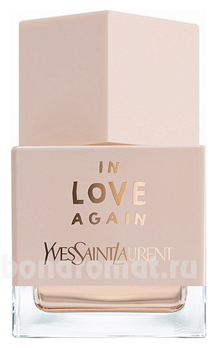 YSL In Love Again