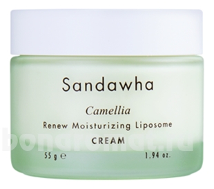            Camellia Renew Moisturizing Liposome Cream
