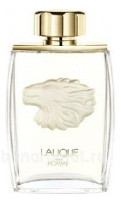 Pour Homme Lion