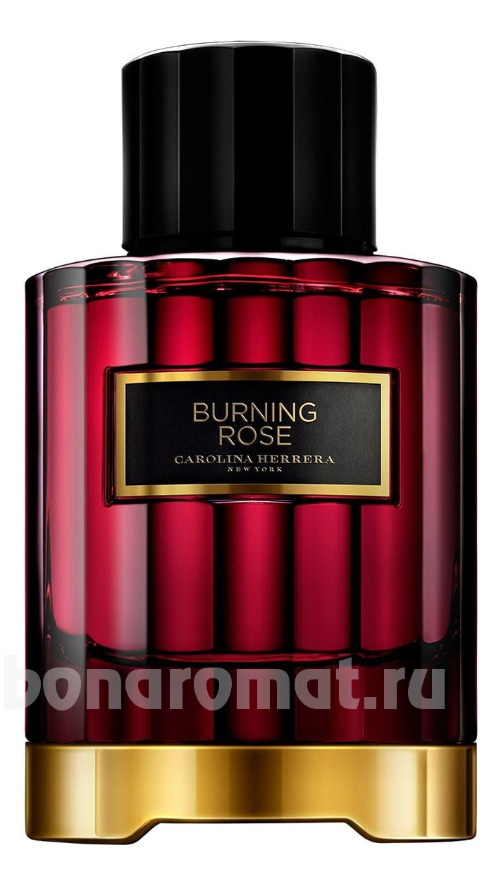 Burning Rose