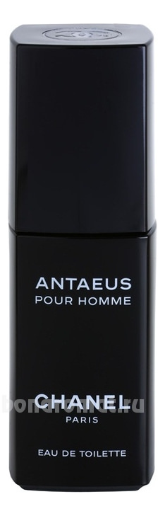 Antaeus 