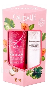    Rose Des Vignes ( /   +   4,5)