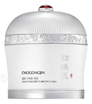     Cho Gong Jin Sulbon Dark Spot Correcting Cream