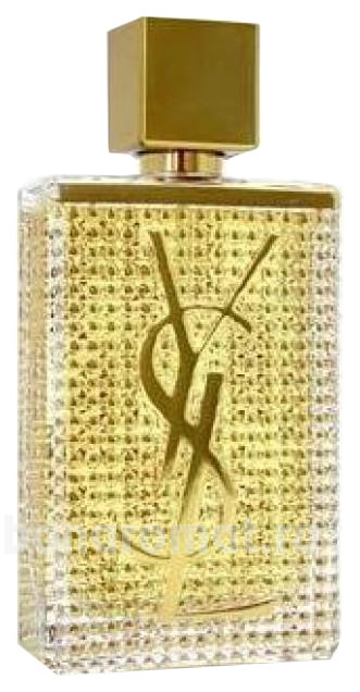 YSL Cinema