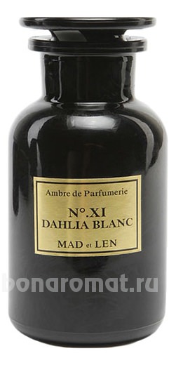 XI Dahlia Blanc