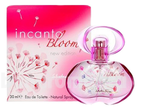 Incanto Bloom New Edition